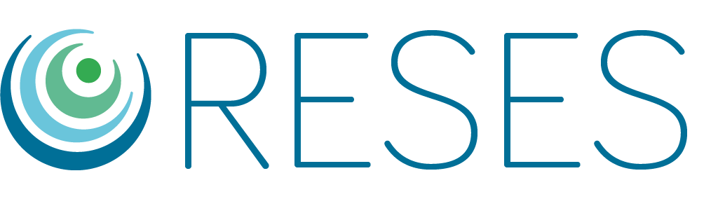 Logo The RESES